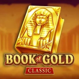 game logo by Playson on spinsmacho.com.de