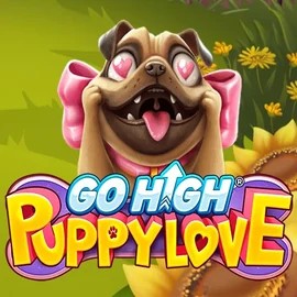 game logo by RubyPlay on spinsmacho.com.de